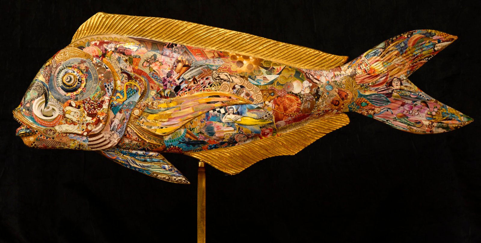Gold fish Dav 2