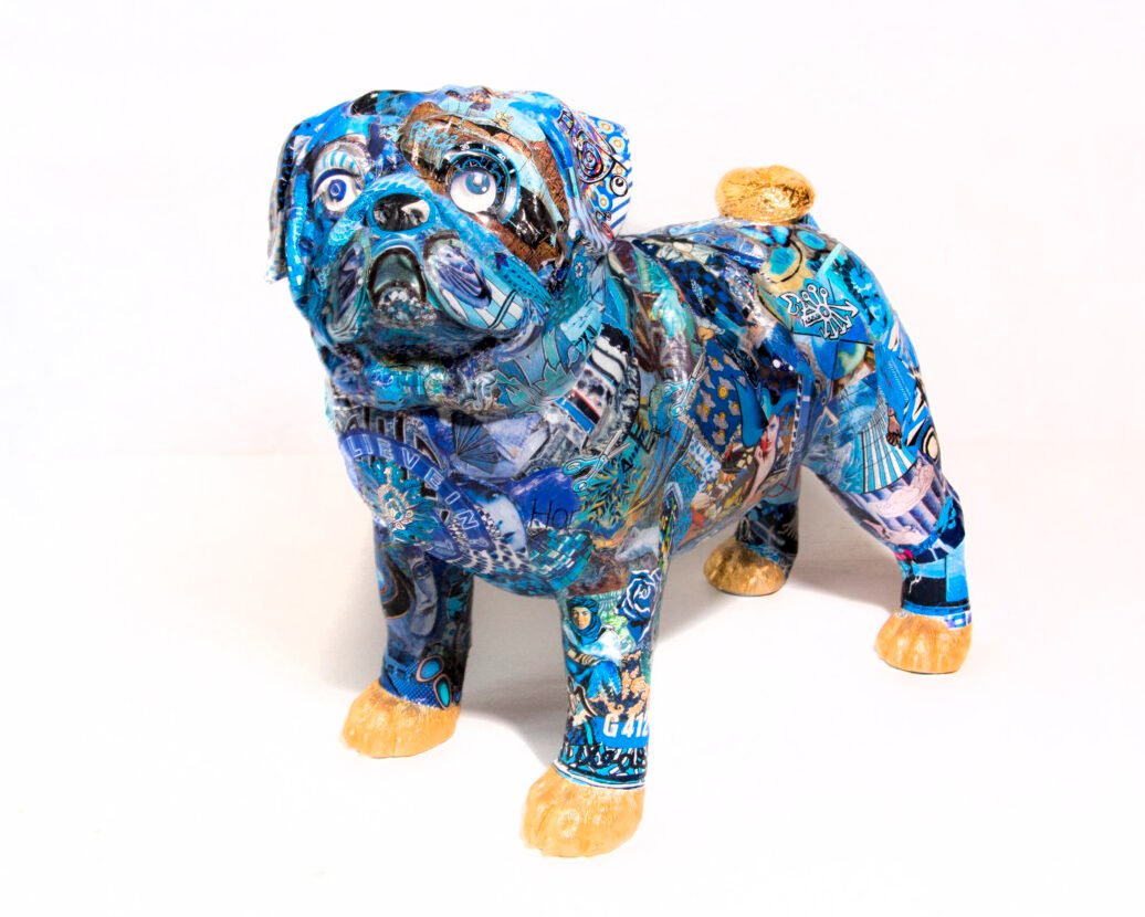 Carlin bleu 1